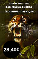 BH -  F&eacute;lins d'Afrique Encore Inconnus